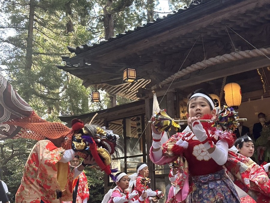獅子舞2025城端曳山祭り